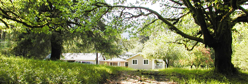 Wilson River Ranch